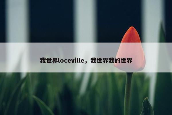 我世界loceville，我世界我的世界