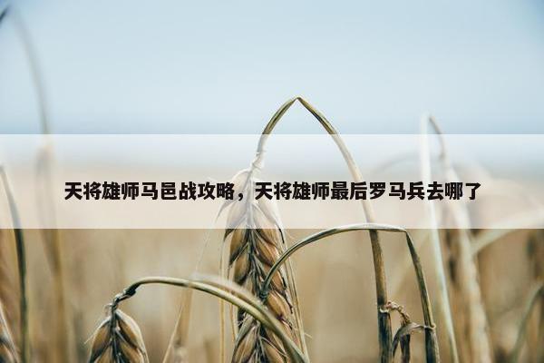天将雄师马邑战攻略，天将雄师最后罗马兵去哪了