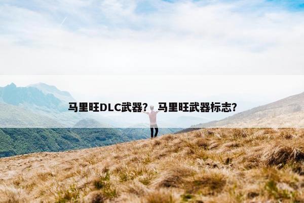 马里旺DLC武器？ 马里旺武器标志？
