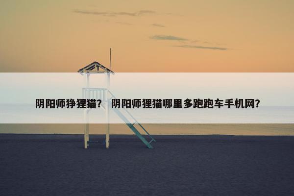 阴阳师狰狸猫？ 阴阳师狸猫哪里多跑跑车手机网？