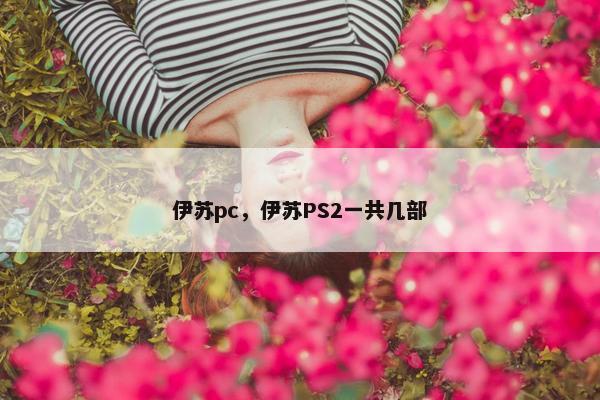 伊苏pc，伊苏PS2一共几部
