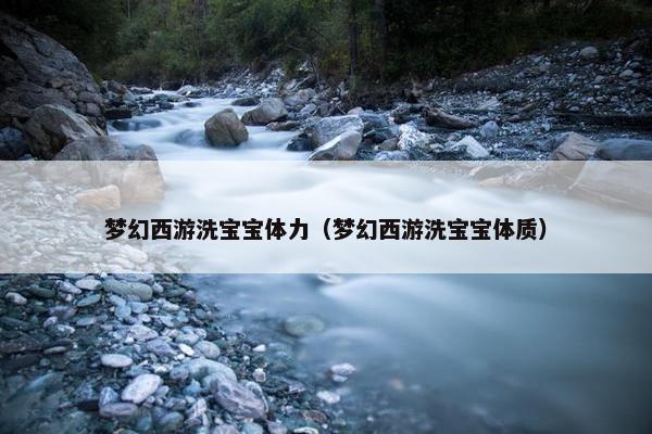 梦幻西游洗宝宝体力（梦幻西游洗宝宝体质）
