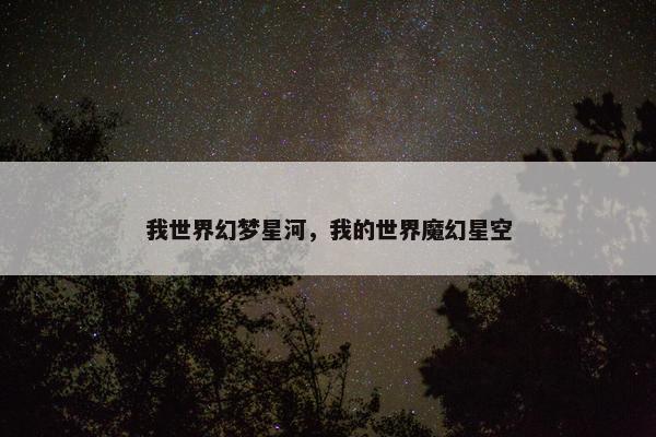 我世界幻梦星河，我的世界魔幻星空