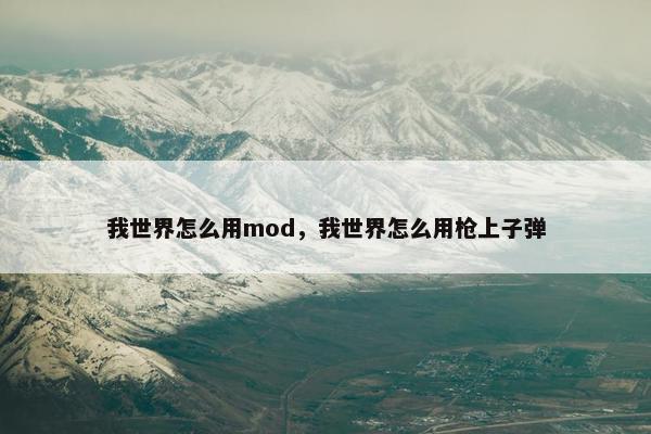 我世界怎么用mod，我世界怎么用枪上子弹