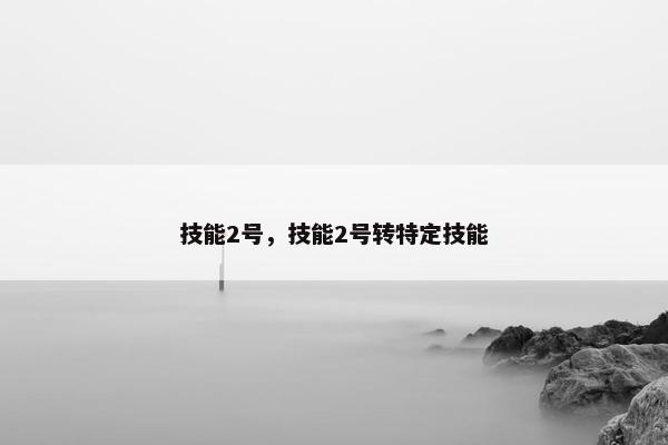 技能2号，技能2号转特定技能