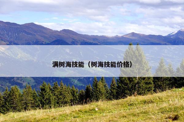 满树海技能（树海技能价格）