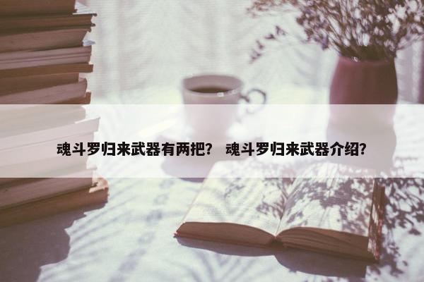 魂斗罗归来武器有两把？ 魂斗罗归来武器介绍？