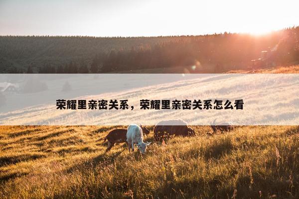 荣耀里亲密关系，荣耀里亲密关系怎么看