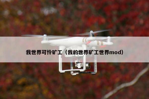 我世界可怜矿工（我的世界矿工世界mod）