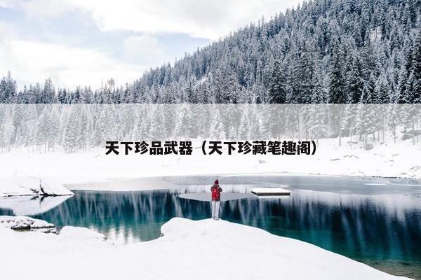 天下珍品武器（天下珍藏笔趣阁）