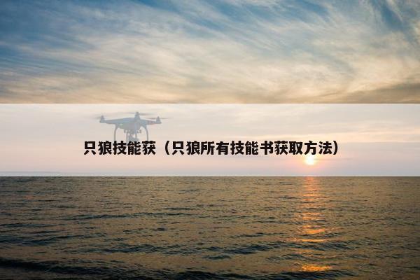 只狼技能获（只狼所有技能书获取方法）