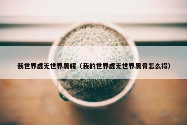我世界虚无世界黑耀（我的世界虚无世界黑骨怎么得）