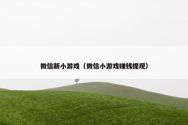 微信新小游戏（微信小游戏赚钱提现）