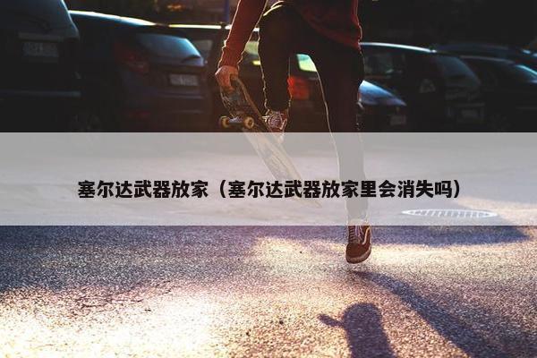 塞尔达武器放家（塞尔达武器放家里会消失吗）