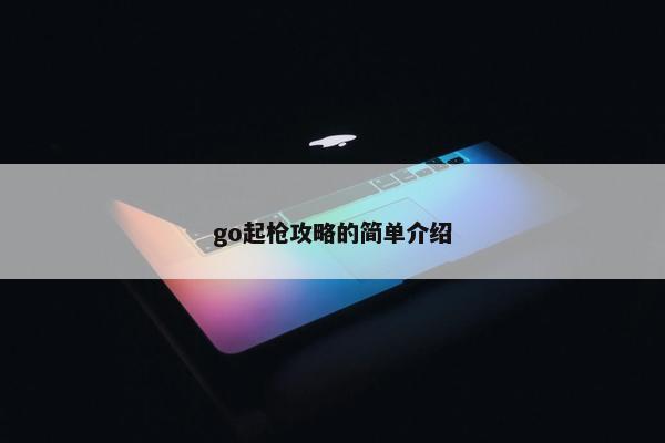 go起枪攻略的简单介绍