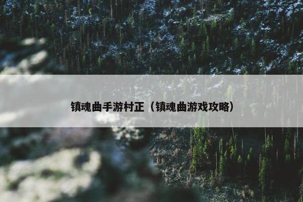 镇魂曲手游村正（镇魂曲游戏攻略）