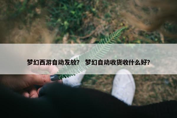梦幻西游自动发放？ 梦幻自动收货收什么好？