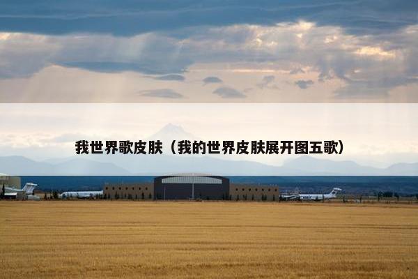 我世界歌皮肤（我的世界皮肤展开图五歌）