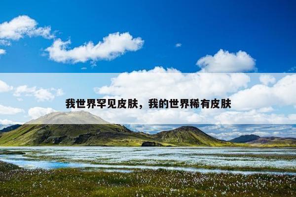 我世界罕见皮肤，我的世界稀有皮肤