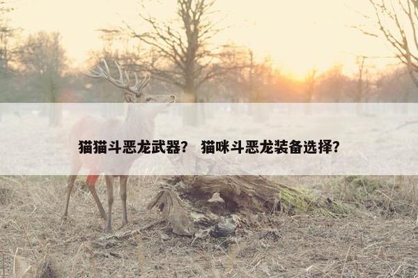 猫猫斗恶龙武器？ 猫咪斗恶龙装备选择？
