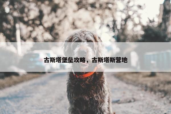 古斯塔堡垒攻略，古斯塔斯营地