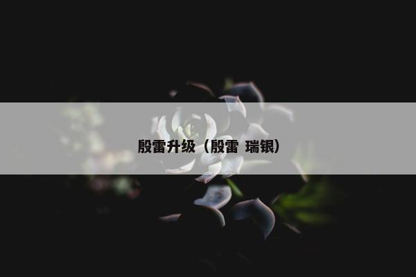 殷雷升级（殷雷 瑞银）