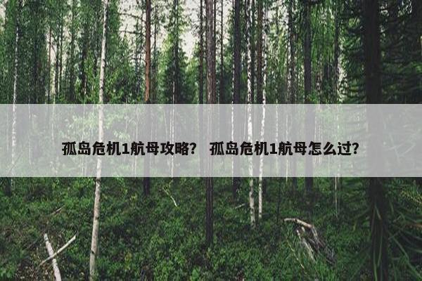 孤岛危机1航母攻略？ 孤岛危机1航母怎么过？