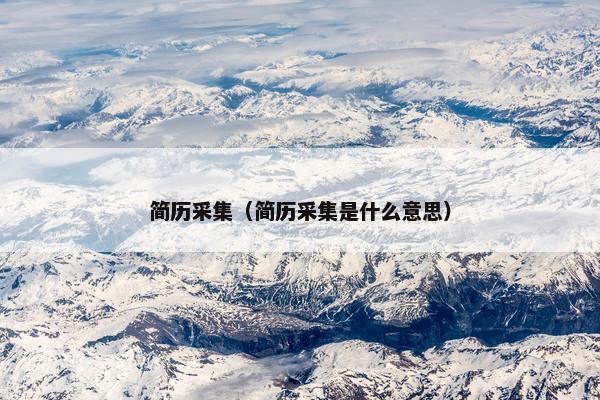 简历采集（简历采集是什么意思）