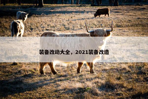 装备改动大全，2021装备改造