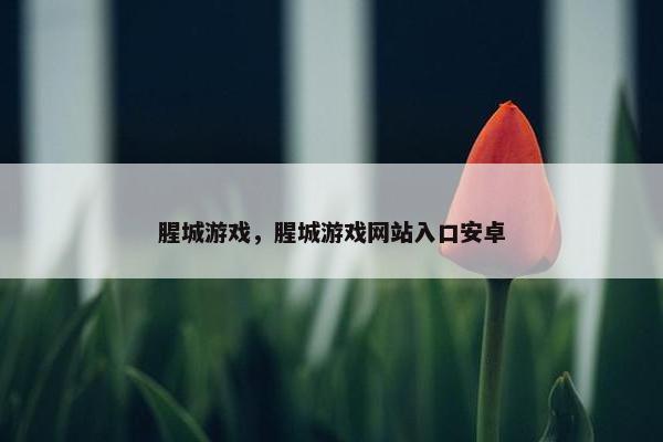 腥城游戏，腥城游戏网站入口安卓