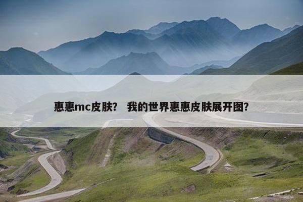 惠惠mc皮肤？ 我的世界惠惠皮肤展开图？
