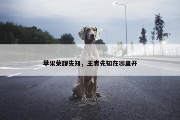 苹果荣耀先知，王者先知在哪里开
