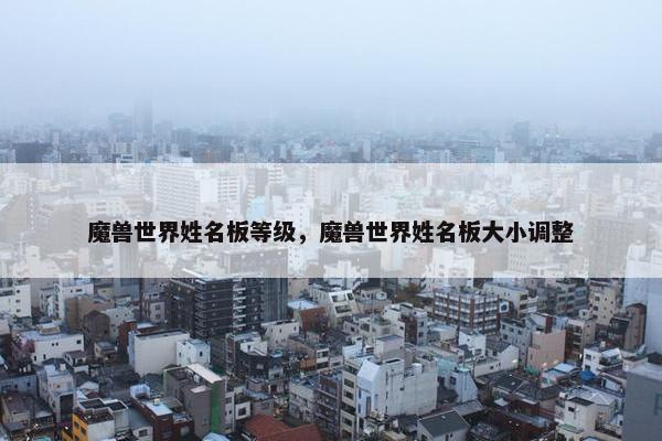魔兽世界姓名板等级，魔兽世界姓名板大小调整