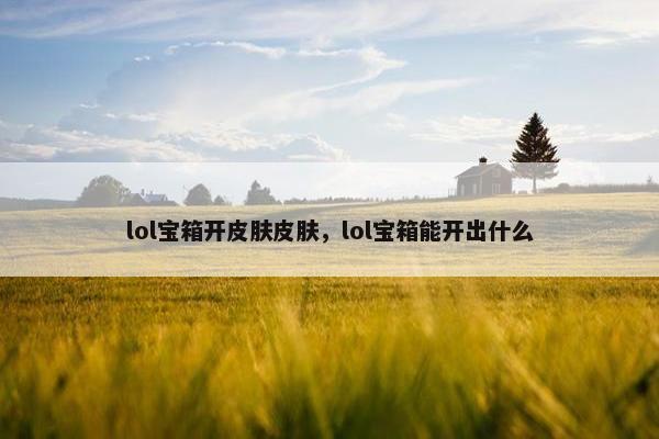 lol宝箱开皮肤皮肤，lol宝箱能开出什么