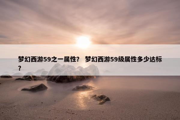 梦幻西游59之一属性？ 梦幻西游59级属性多少达标？