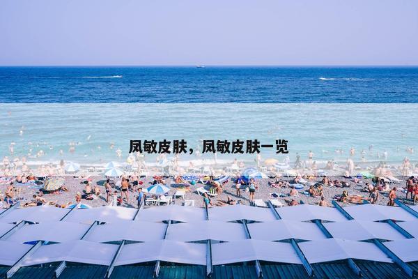 凤敏皮肤，凤敏皮肤一览