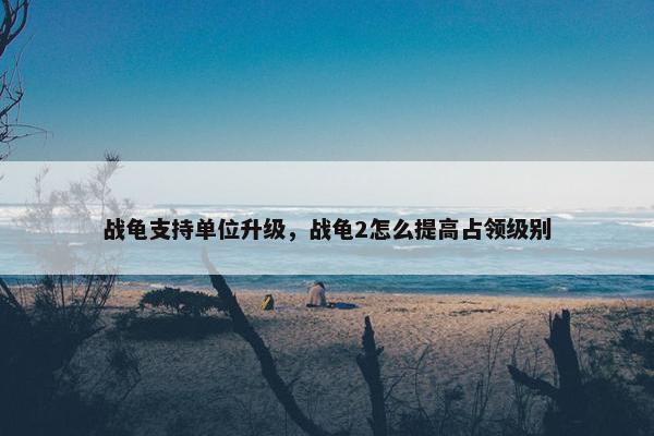 战龟支持单位升级，战龟2怎么提高占领级别
