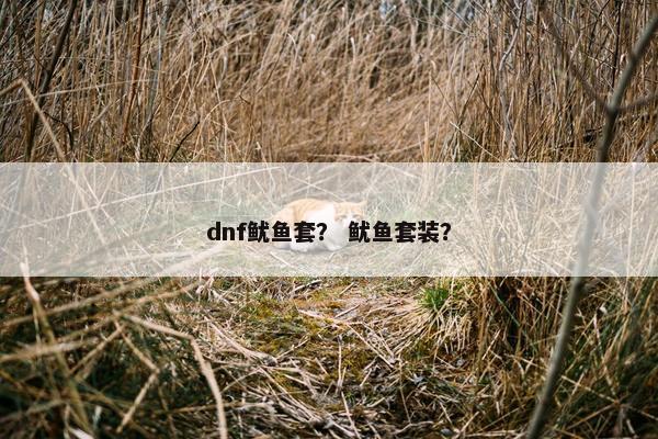 dnf鱿鱼套？ 鱿鱼套装？