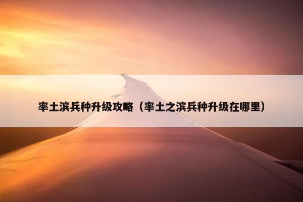 率土滨兵种升级攻略（率土之滨兵种升级在哪里）