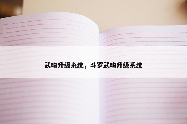 武魂升级糸统，斗罗武魂升级系统