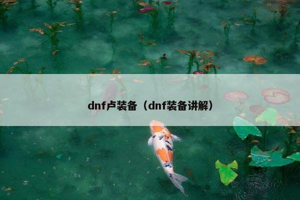 dnf卢装备（dnf装备讲解）