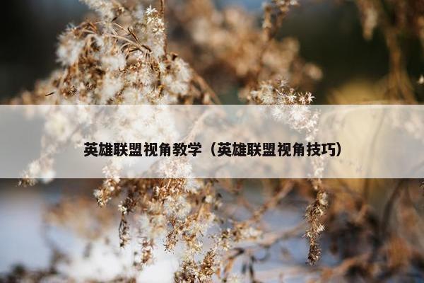 英雄联盟视角教学（英雄联盟视角技巧）