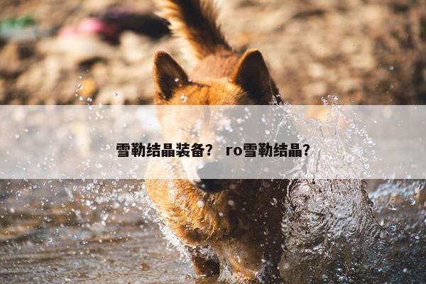 雪勒结晶装备？ ro雪勒结晶？
