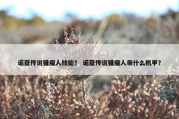 诺亚传说猎魔人技能？ 诺亚传说猎魔人带什么机甲？