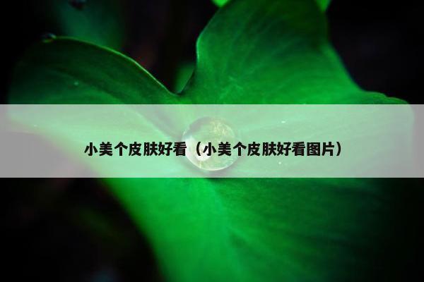 小美个皮肤好看（小美个皮肤好看图片）