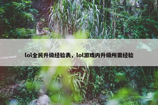 lol全民升级经验表，lol游戏内升级所需经验