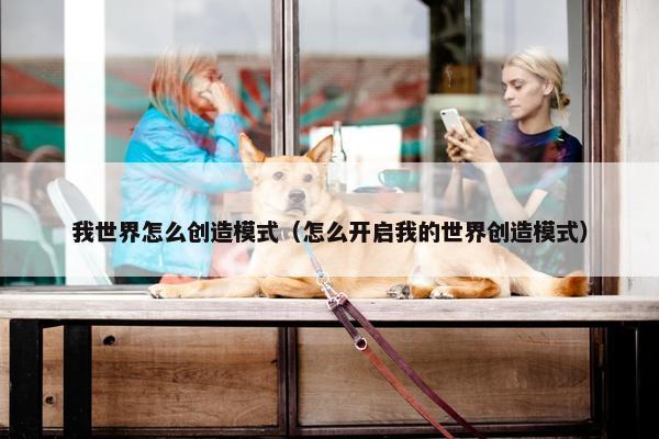 我世界怎么创造模式（怎么开启我的世界创造模式）