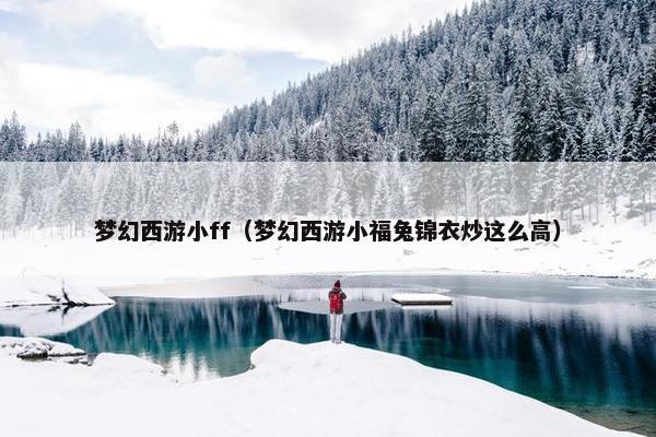 梦幻西游小ff（梦幻西游小福兔锦衣炒这么高）