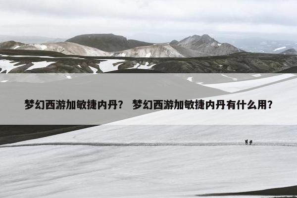 梦幻西游加敏捷内丹？ 梦幻西游加敏捷内丹有什么用？