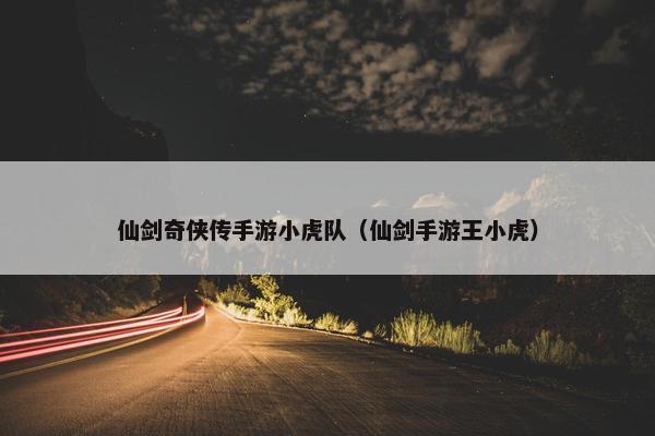 仙剑奇侠传手游小虎队（仙剑手游王小虎）